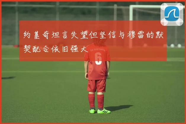 约基奇坦言失望但坚信与穆雷的默契配合依旧强大